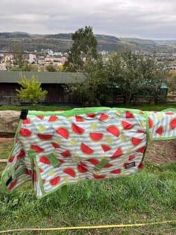 Prodám výběhove deky na minihorse