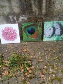 Prodám dekorační obrazy