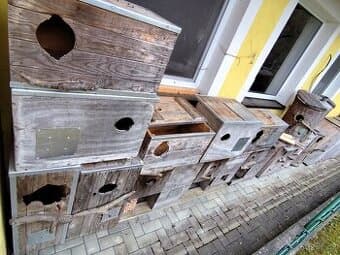 PTAČÍ BUDKY - RŮZNÉ DRUHY PROVEDENÍ