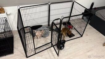 Ohrádka pro psa / štěně / králíka