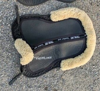 Prodám Thinline beránek