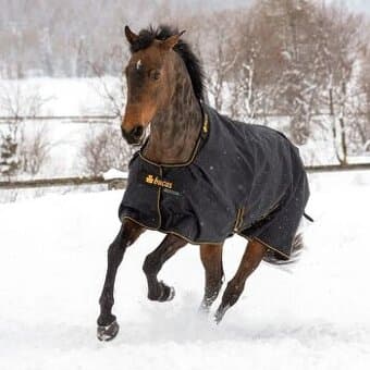 Termo výběhová deka Bucas Irish Turnout medium, černá