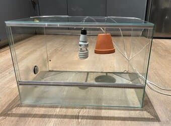 Použité terarium 60 x 40 x 40 cm