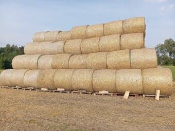 Prodám slámu