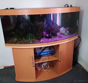 Kompletní akvárium juwel vision 500l