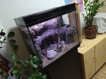 Akvárium aquatlantis Tower / předělané na palundarium