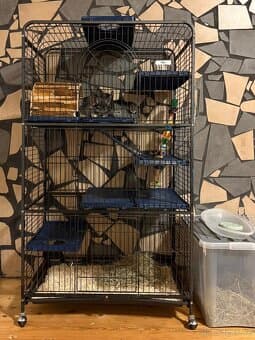 Velká klec a 3 čincily