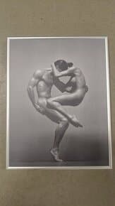 Černobílé fotografie aktů ve stříbrných rámech