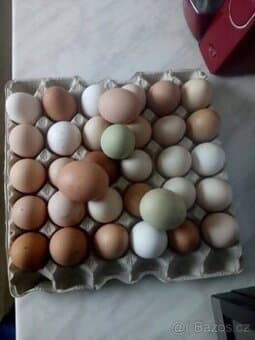 Domácí vejce