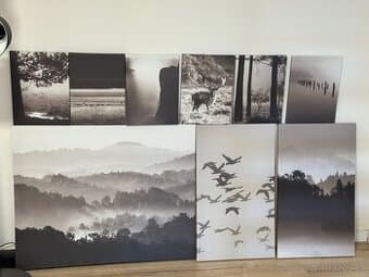 Obraz, sada 9 ks PJÄTTERYD