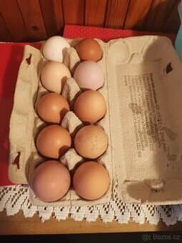 Domácí vajíčka, vejce, vajíčko