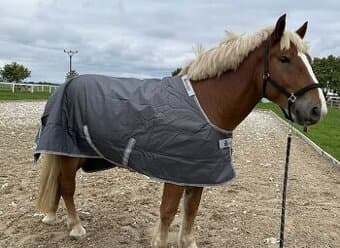 Deka Smartex Medium Bucas 150 g big neck vel. 155, iron gate