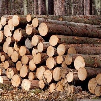 Palivové dřevo smrk - kulatina 2m