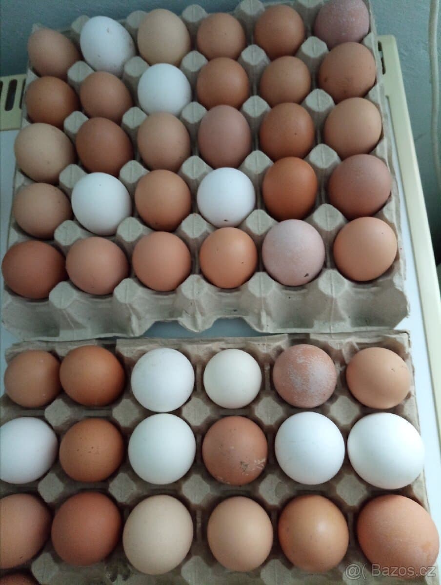 Domácí vajíčka