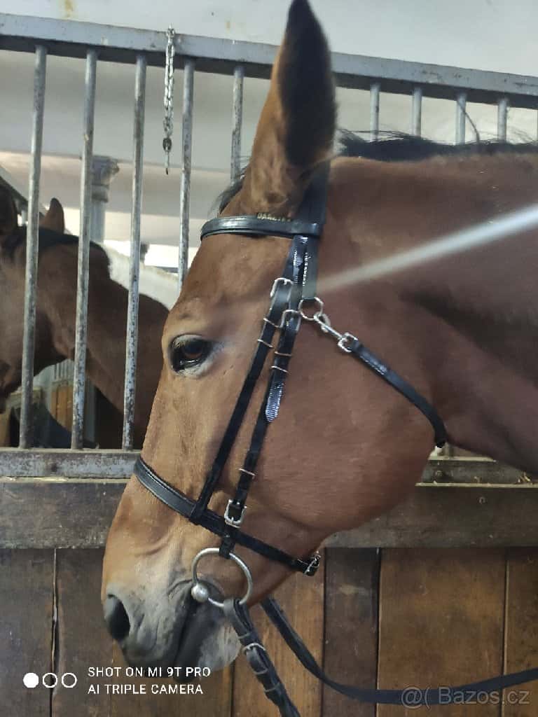 Biothane černá uzdečka 1