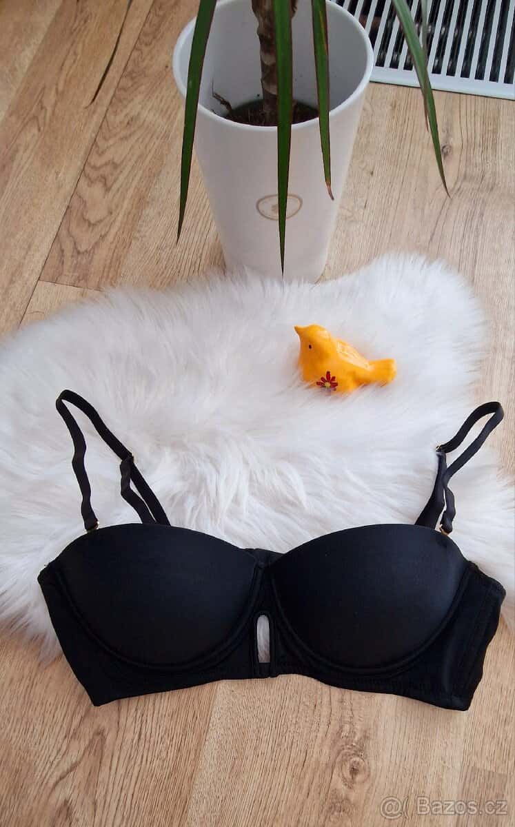 Nová podprsenka 1