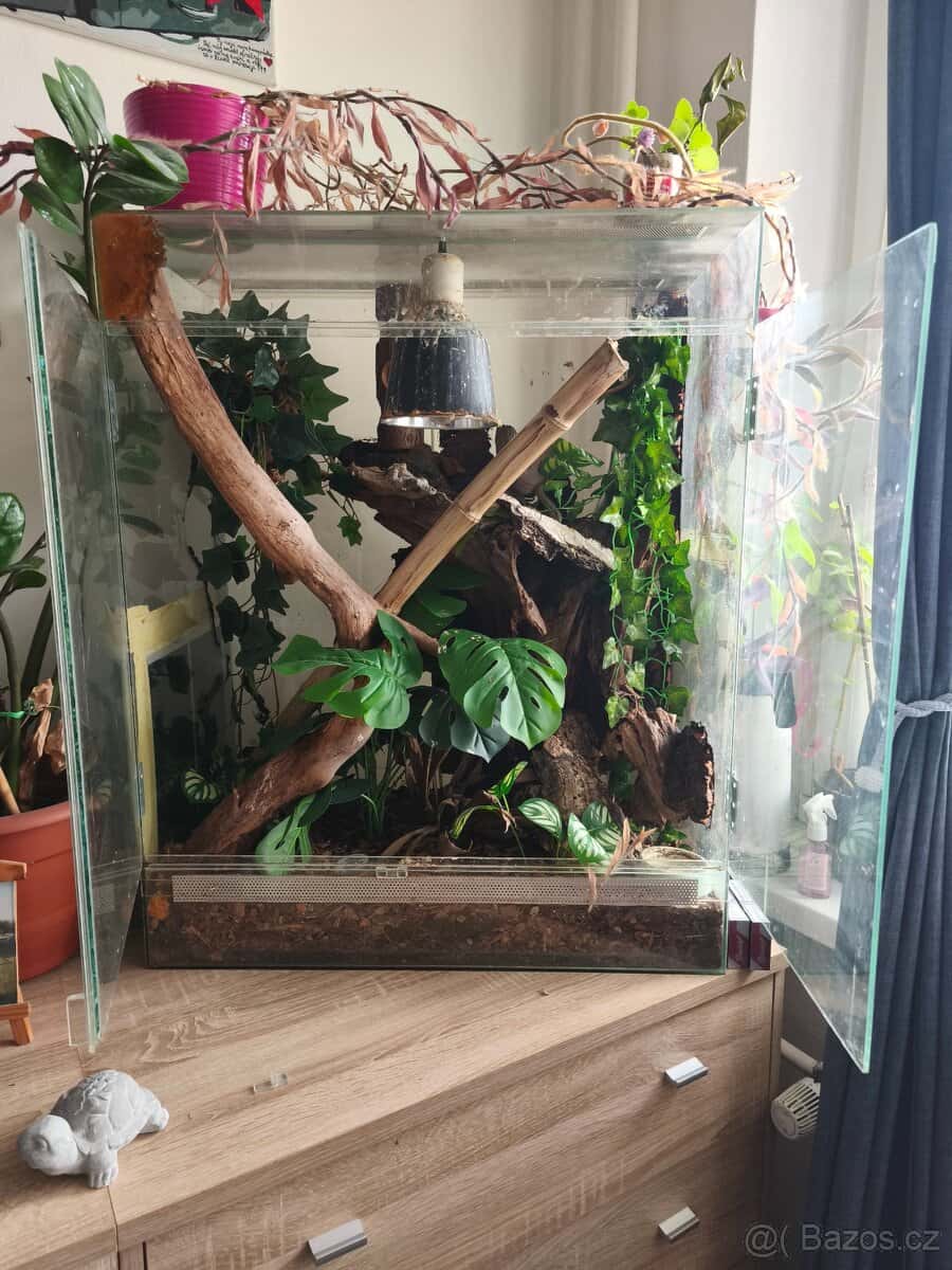 Terárium 2