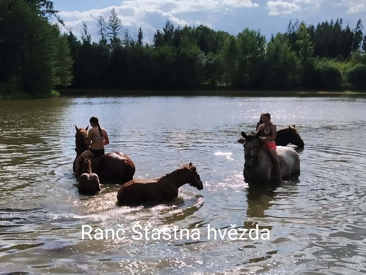 DĚTSKÉ TÁBORY 2026 7